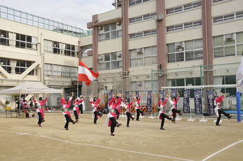 _DSC0475.JPG
