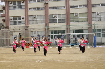 _DSC0485.JPG