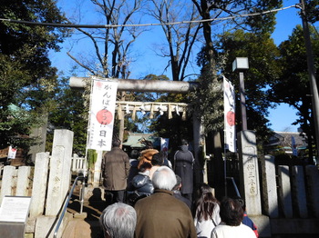 201711165026.JPG